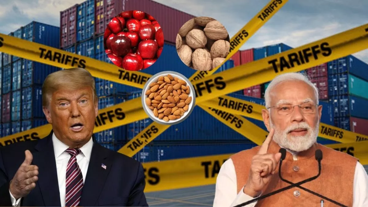 What India Imports from USA: ट्रंप टैरिफ के बीच भारत में अमेरिका के टॉप प्रोडक्ट्स